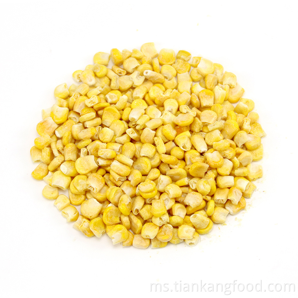 High Quality Dehydrated Corn